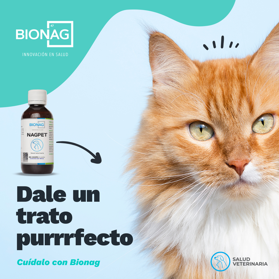 nagpet-antiviral-gatos.jpg
