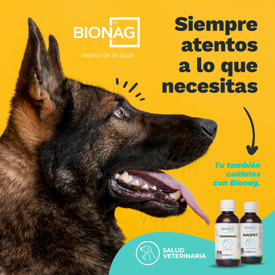nagpet-parvovirus-dog.jpg